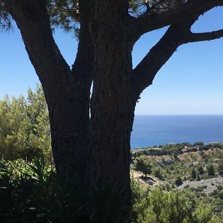 Magnifique Studio Cassis Eksteriør bilde
