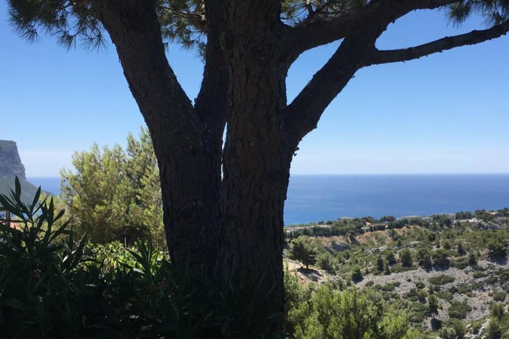 Magnifique Studio Cassis Eksteriør bilde